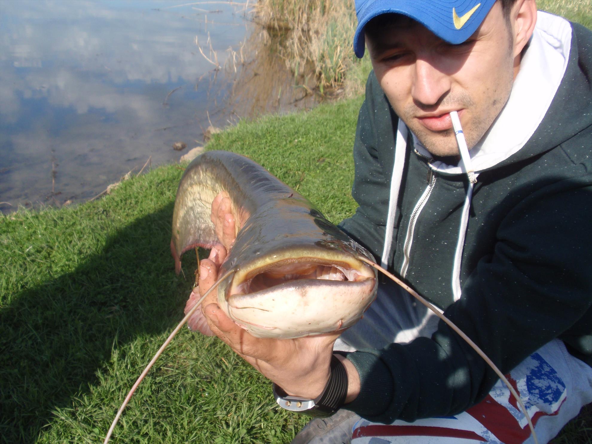 Din viata noastra... - p41400571.JPG